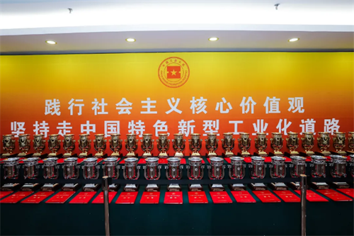 图片6